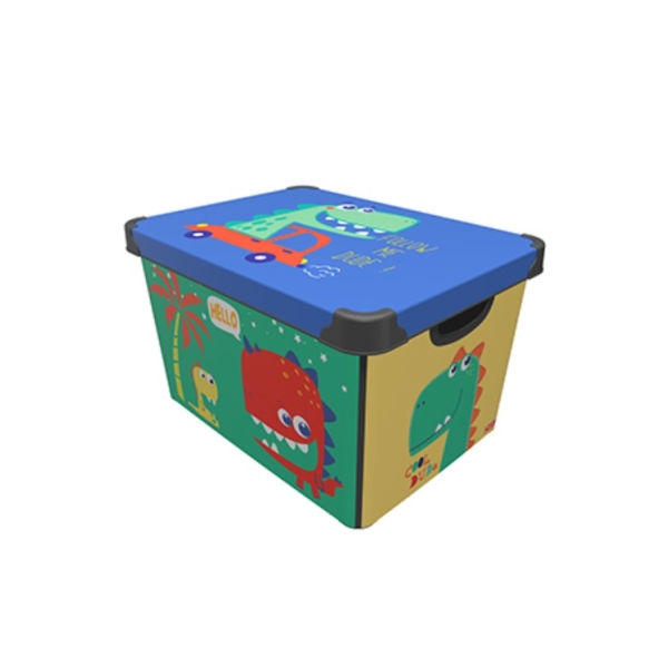 Caprichem Product - Style Box Dude 20l EACH