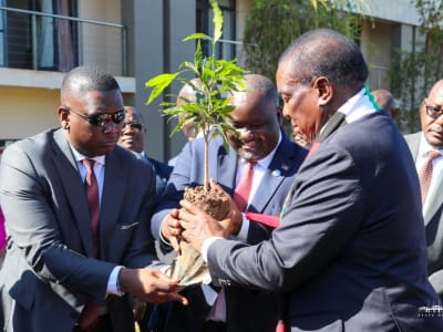 Zimbabwe National Tree Planting Day Zimbabwe National Tree Planting Day