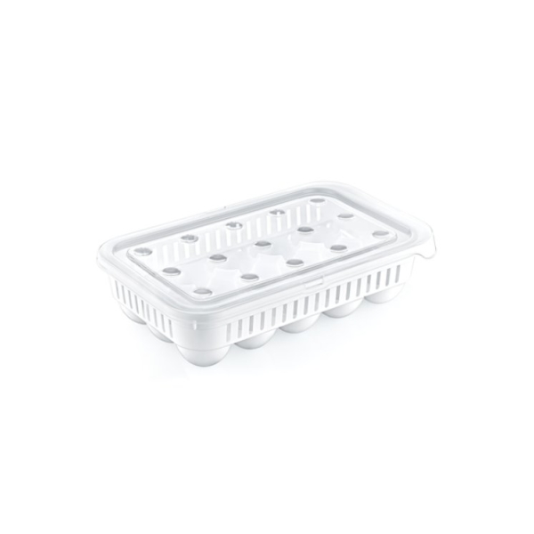 Caprichem products - Eggstorer Storage Box 15 Pcs EACH