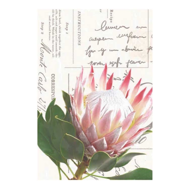 Caprichem products - Placemat 6pc Pmg 26 P/SET