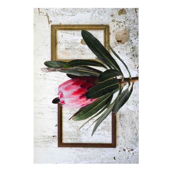 Caprichem products - Kitchen Mat Kmg 10 - 43x73 EACH