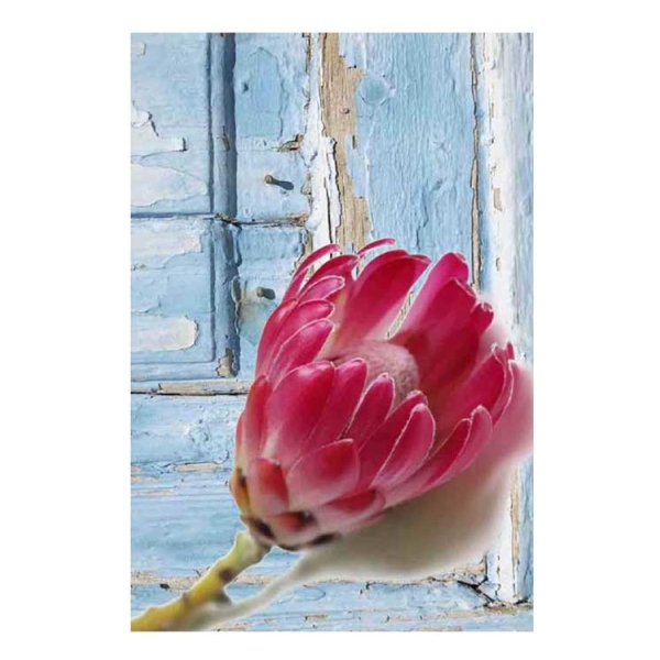 Caprichem products - Kitchen Mat Kmg 29 - 43x73 EACH