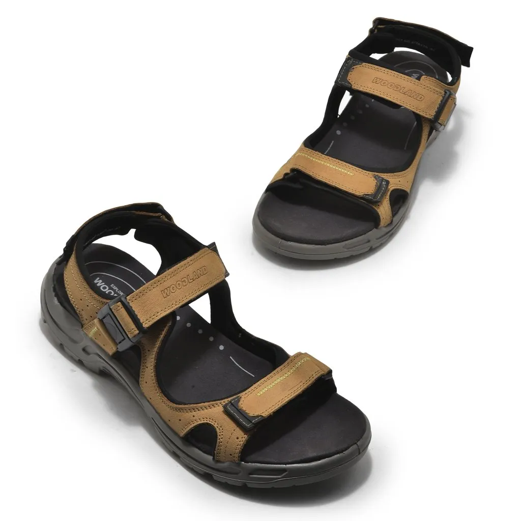 Woodland GD 3728120 thumbnail 2