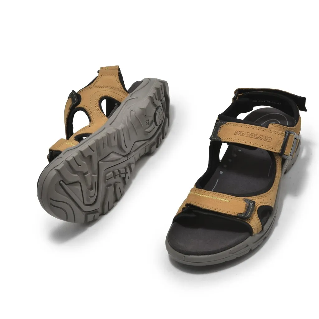 Woodland GD 3728120 thumbnail 3
