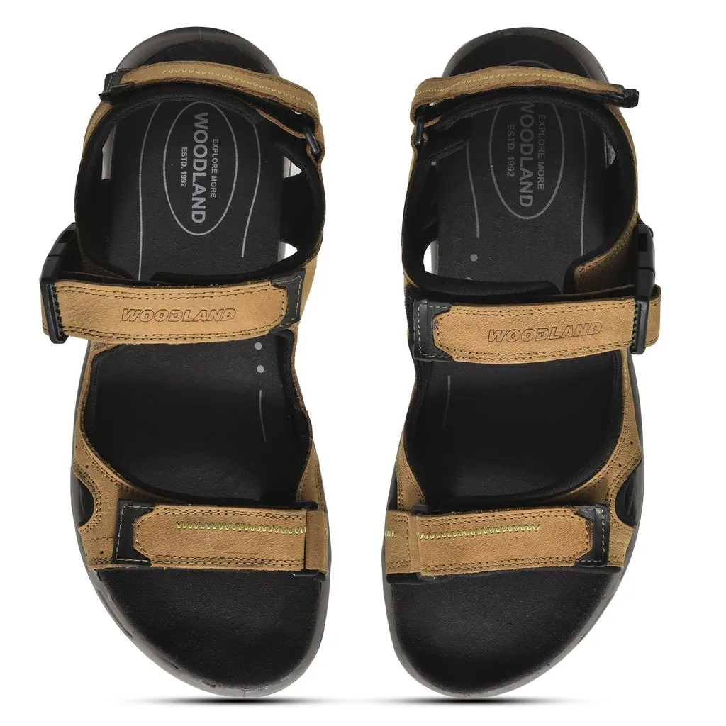 Woodland GD 3728120 thumbnail 4