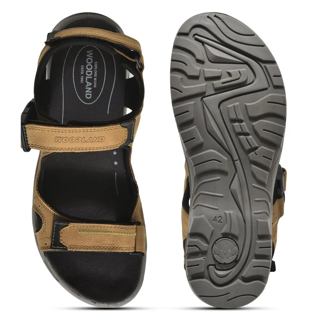 Woodland GD 3728120 thumbnail 5