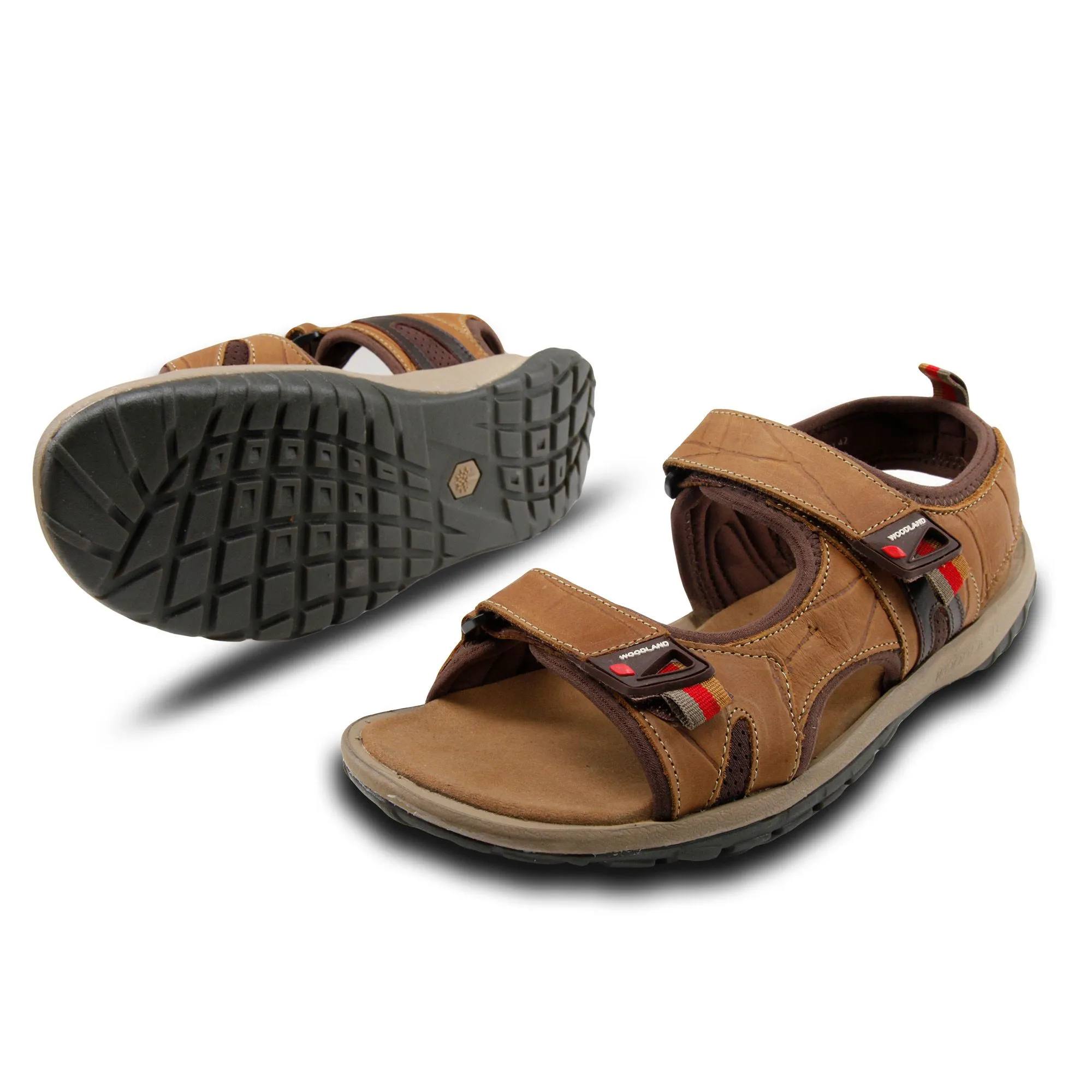 Woodland GD 3999121 thumbnail 4