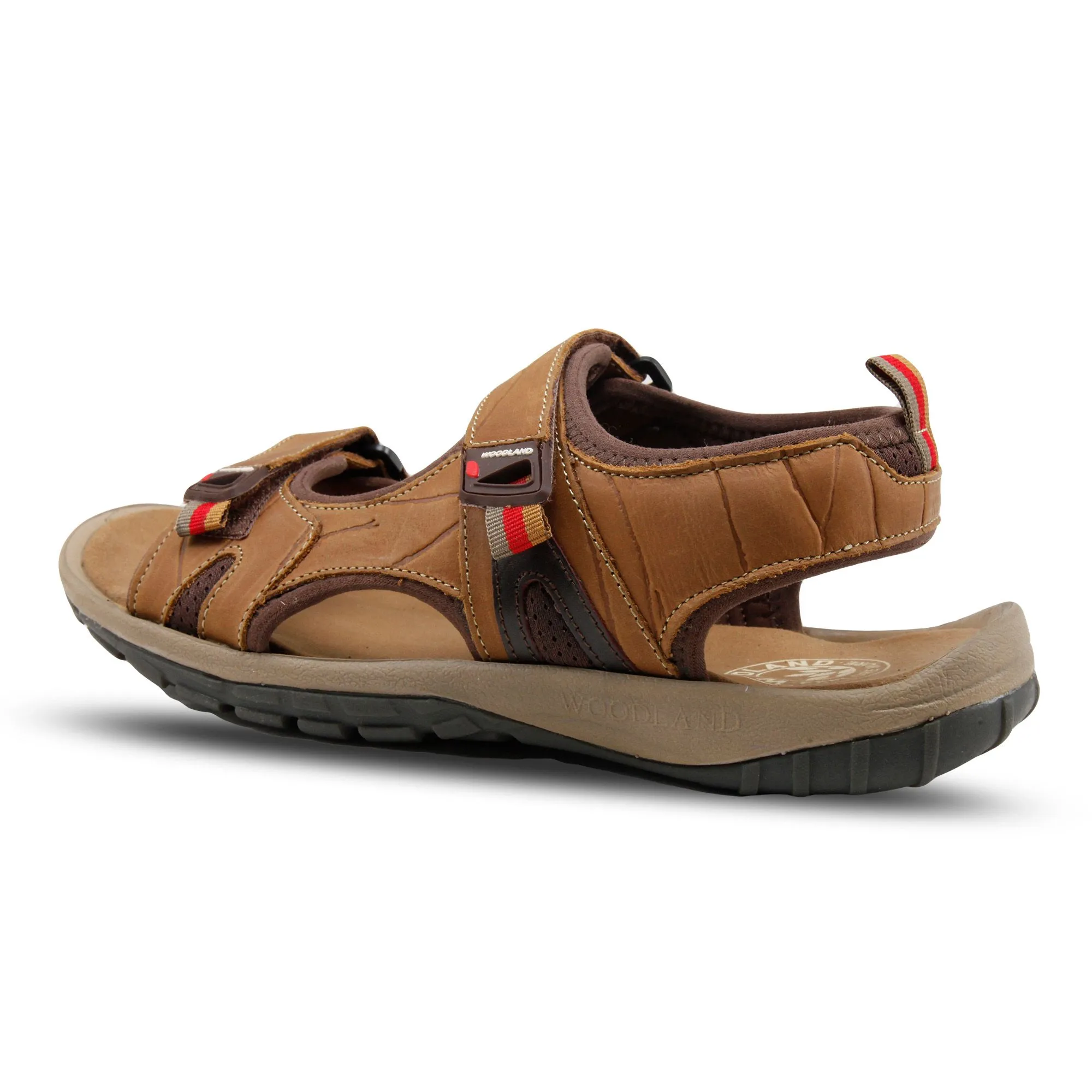Woodland GD 3999121 thumbnail 3