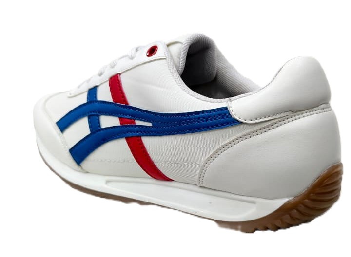 GO RIDE PACER image 2