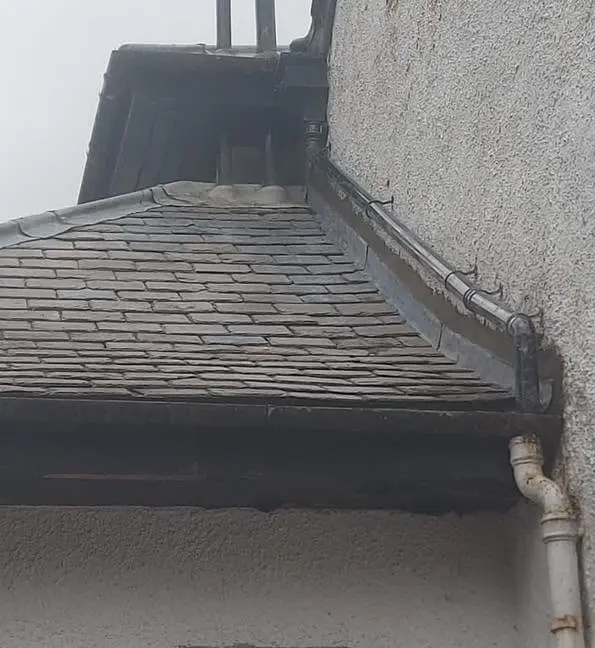 Flat Roofing