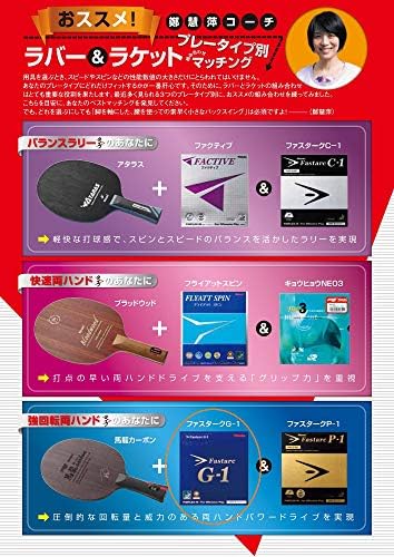 Vue 5 de Nittaku Nr Fastark