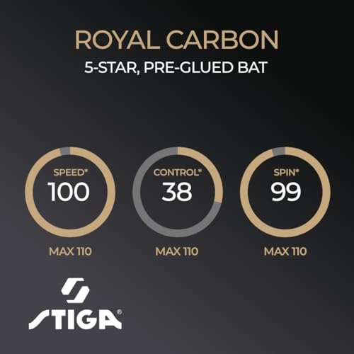 Vue 6 de Stiga Raquette De Ping