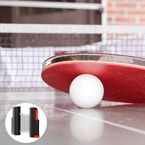 Vue 7 de Helweet Filet De Pingpong