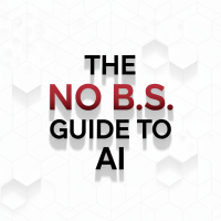 No BS Guide Logo