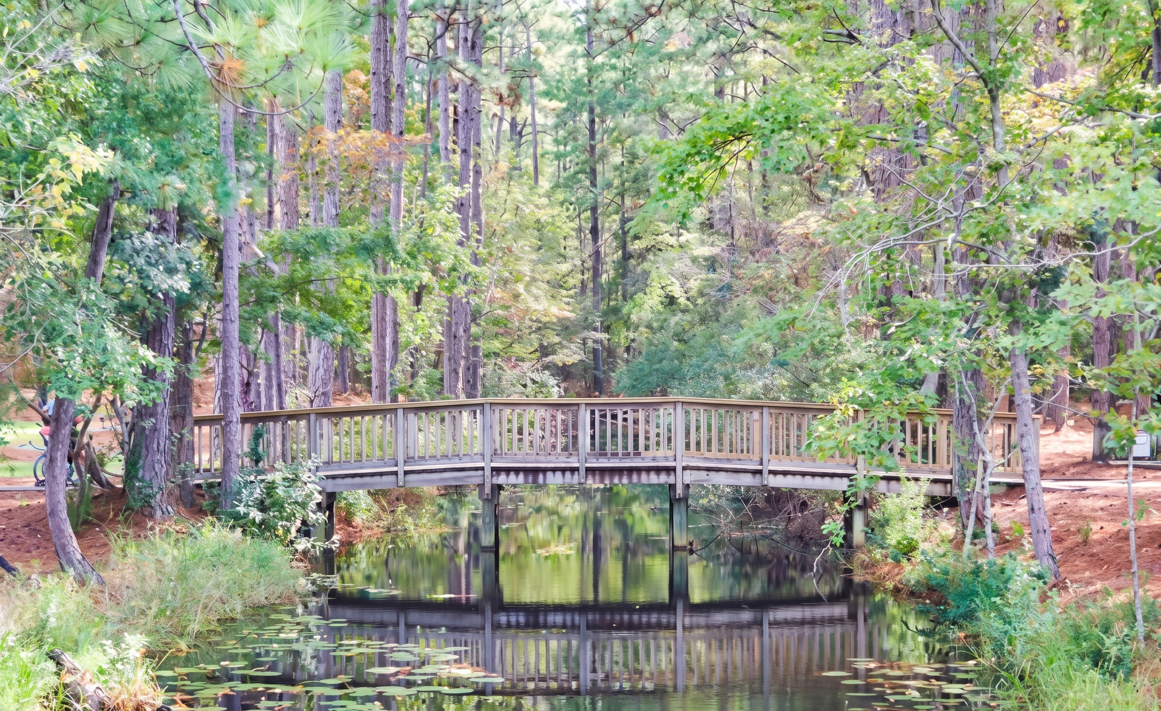 Wooded Lowcountry setting in rural Jasper County, South Carolina