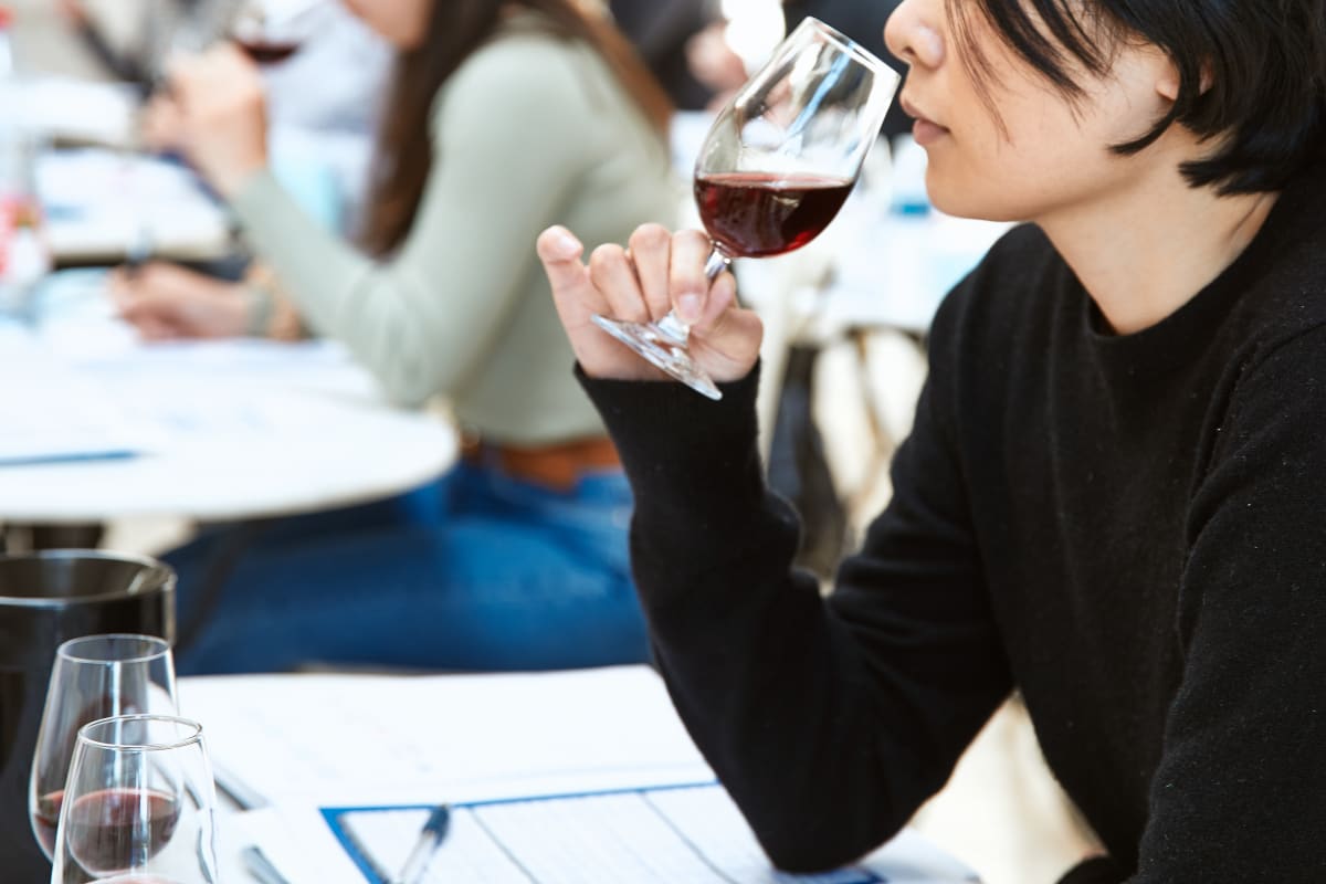 Étudiez le vin en chinois à Paris ou en Bourgogne avec École V