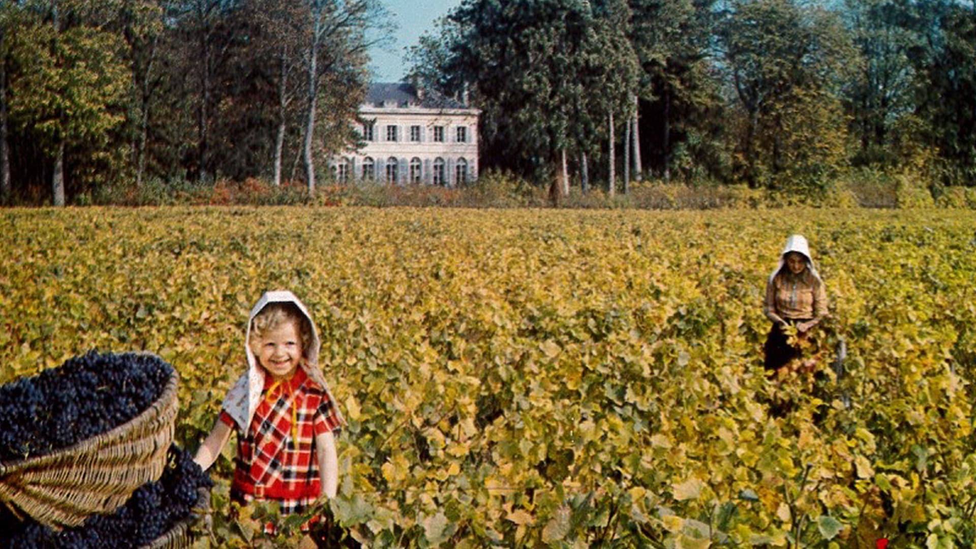 History of the Château – Château de Pommard - Château De Pommard