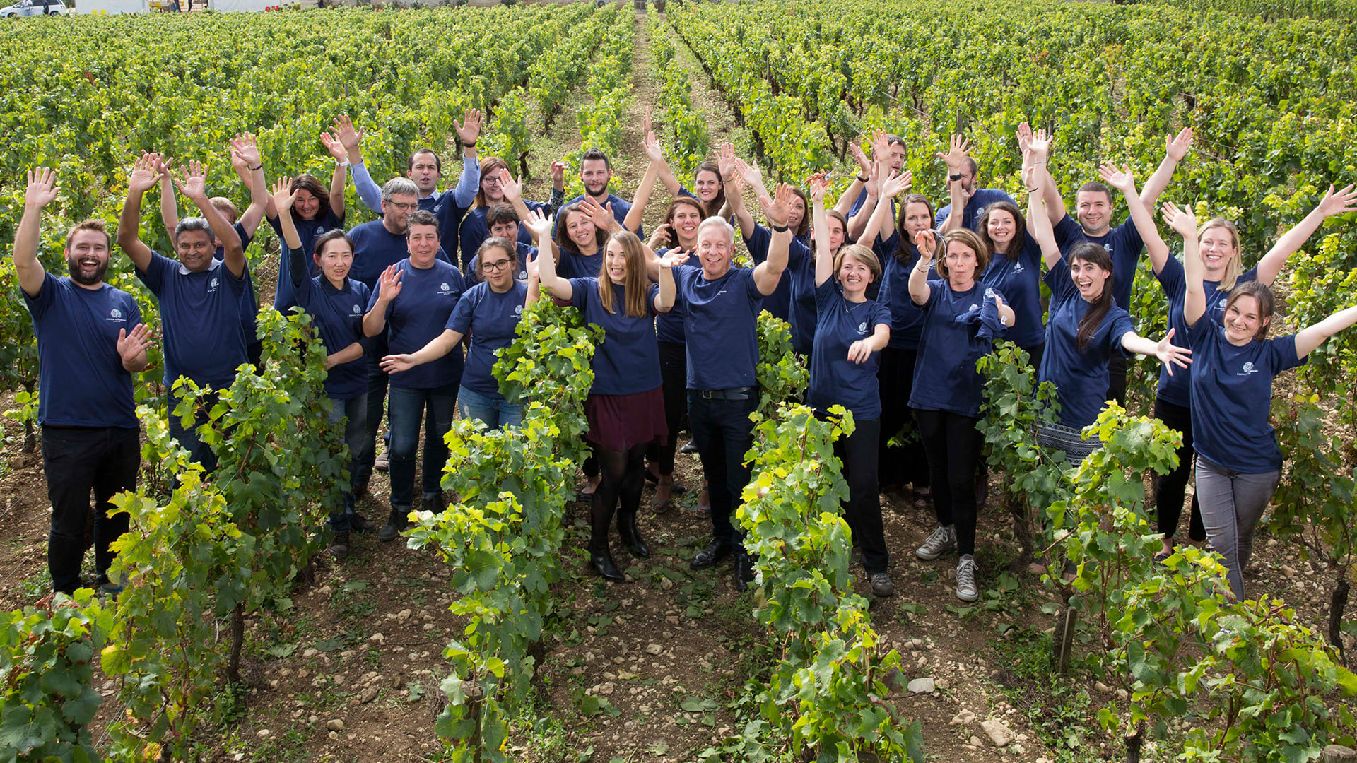 Des Vins Excellents Créés par une Équipe Hors Pair