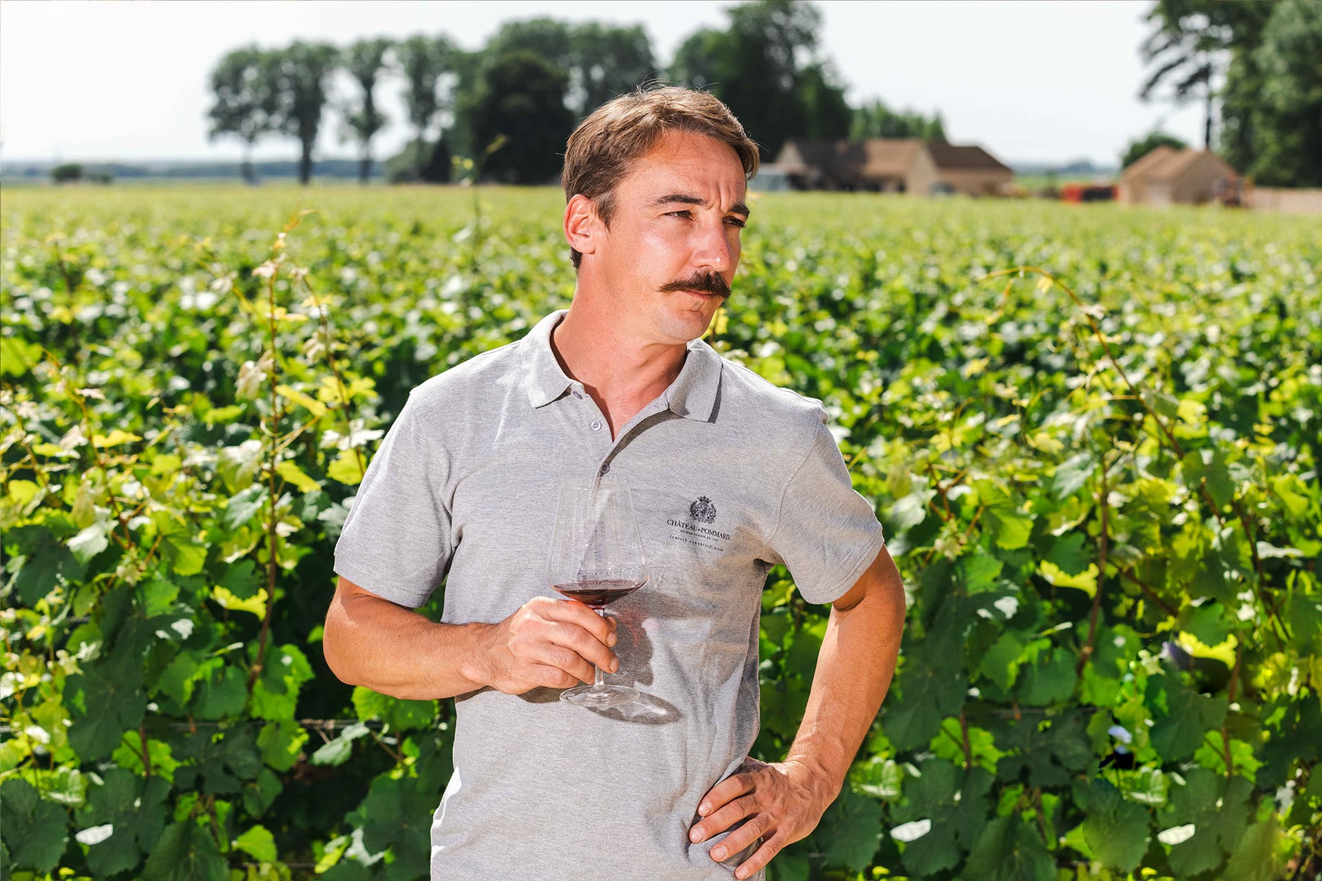 Château de Pommard releases its Clos Marey-Monge 2020 organic