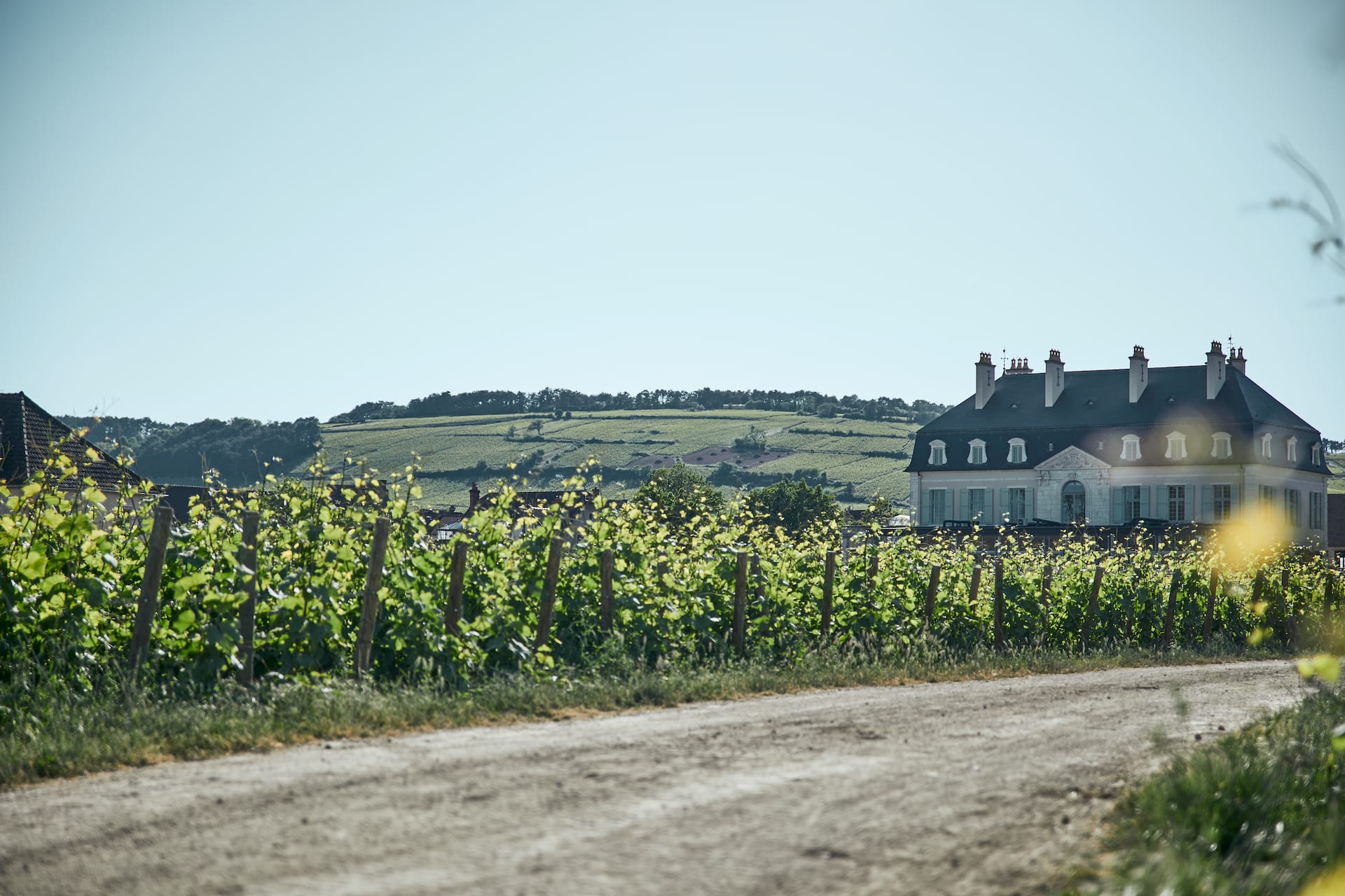 Our Burgundy Wines - Château de Pommard | Official Site - Château