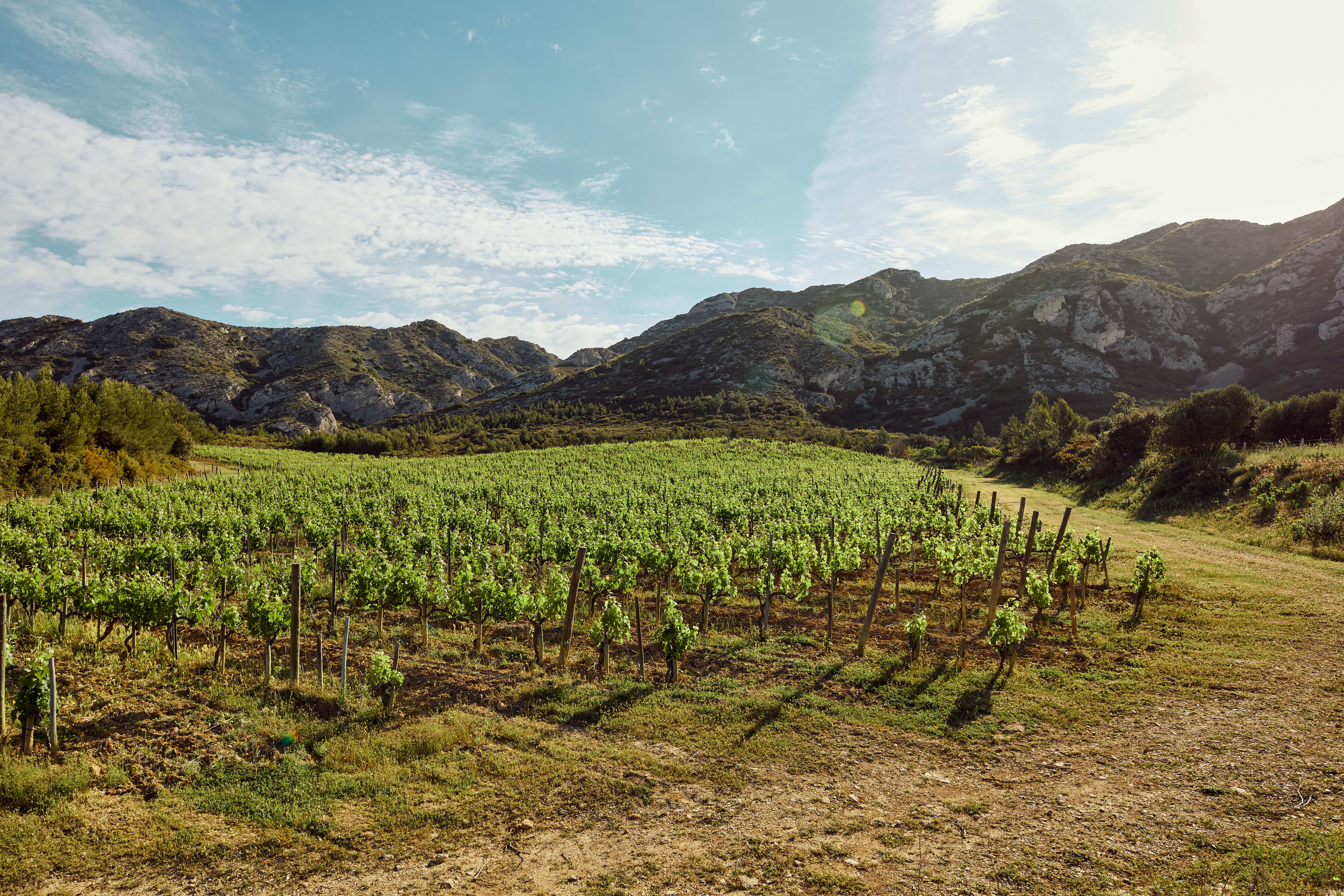 Next Stop: Provence