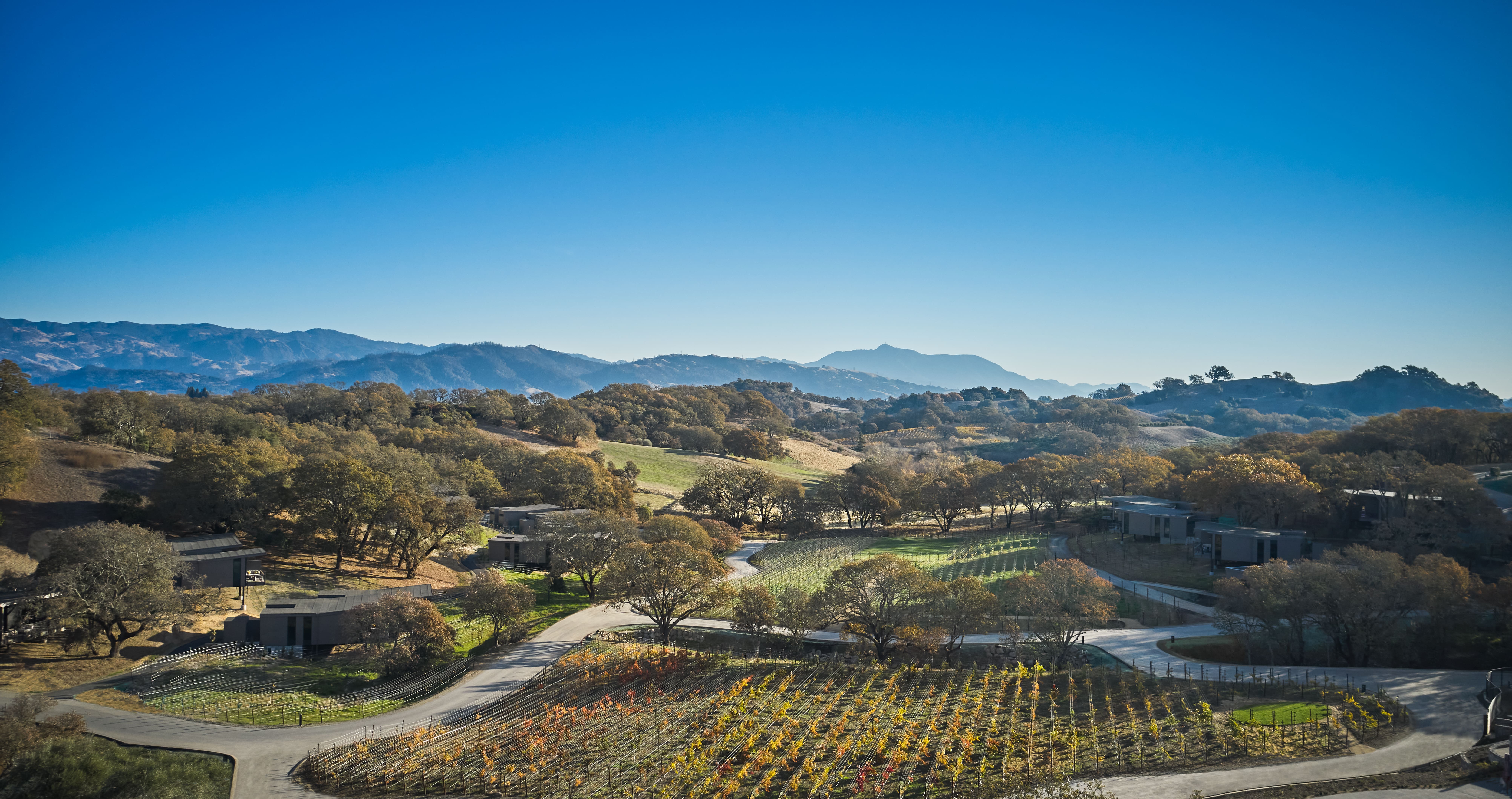 The Best New Wine Hotels Around the World