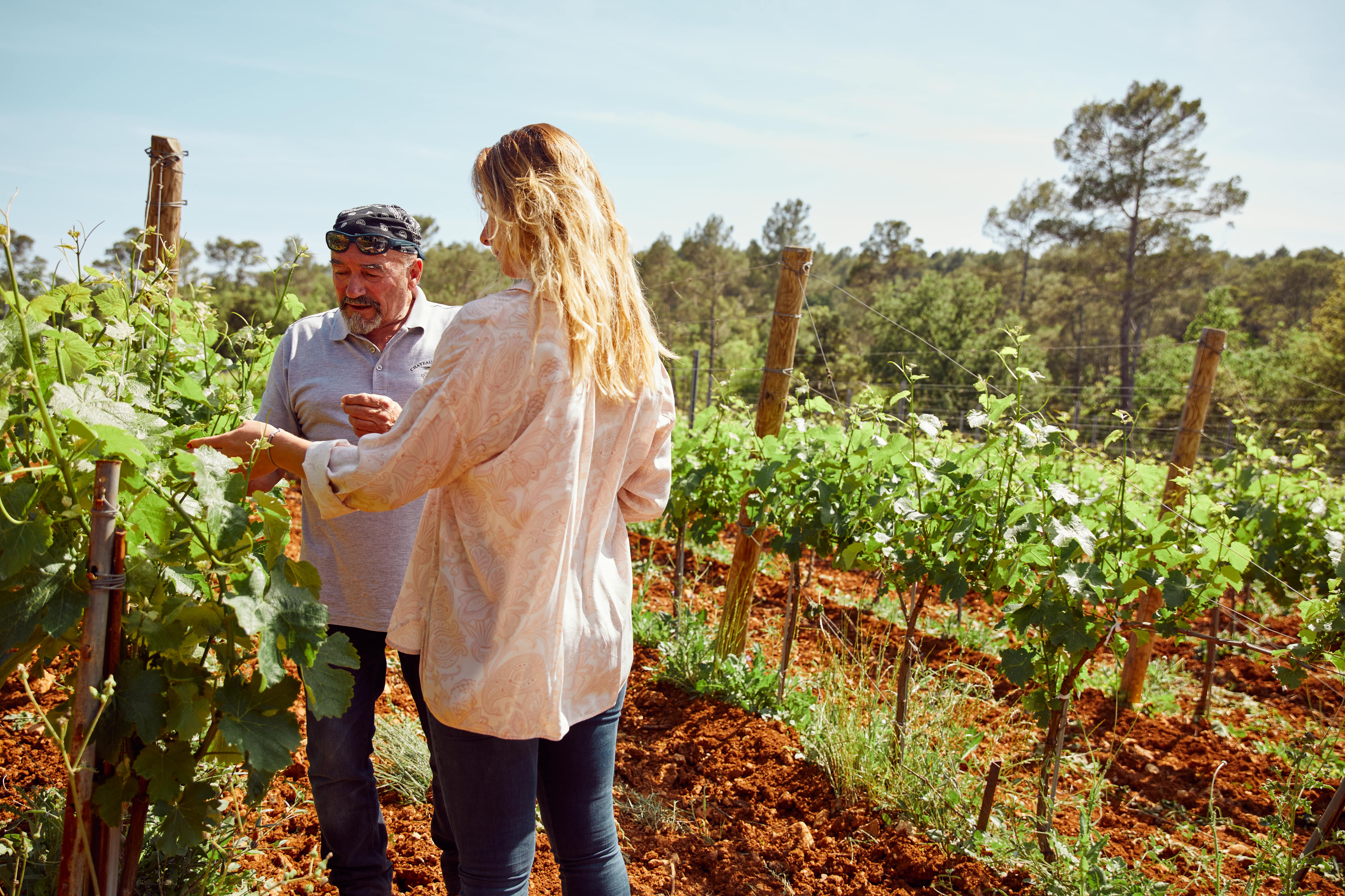 France’s Lesser-Known Grape Varieties