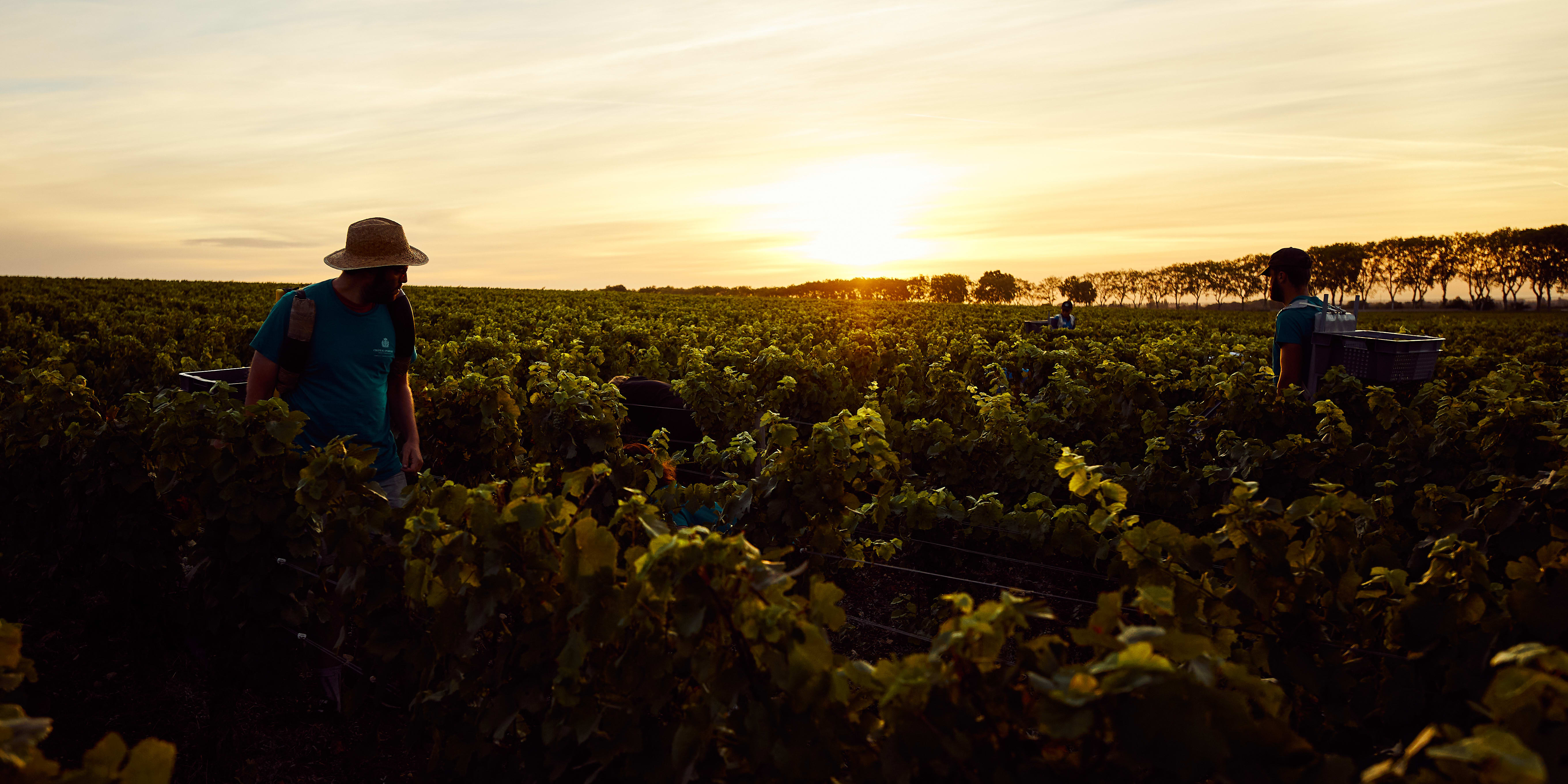 The Best Wines to Drink as the Seasons Change