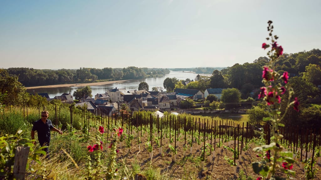 Loire Valley winemaker Frédéric Mabileau in his vineyard