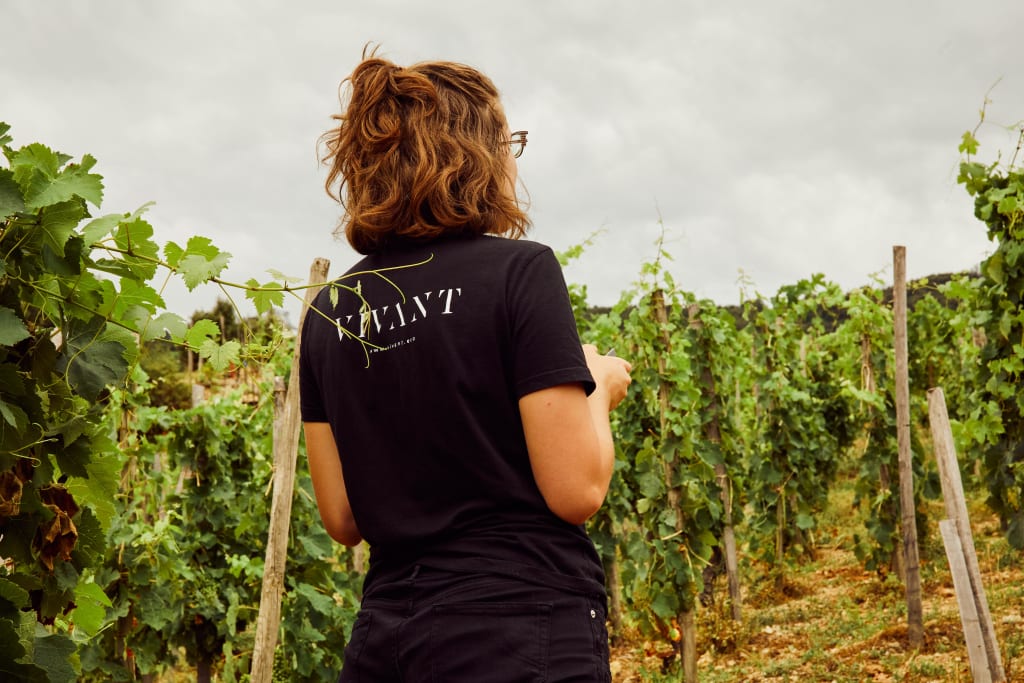 Want to work in the wine industry? VIVANT is hiring!