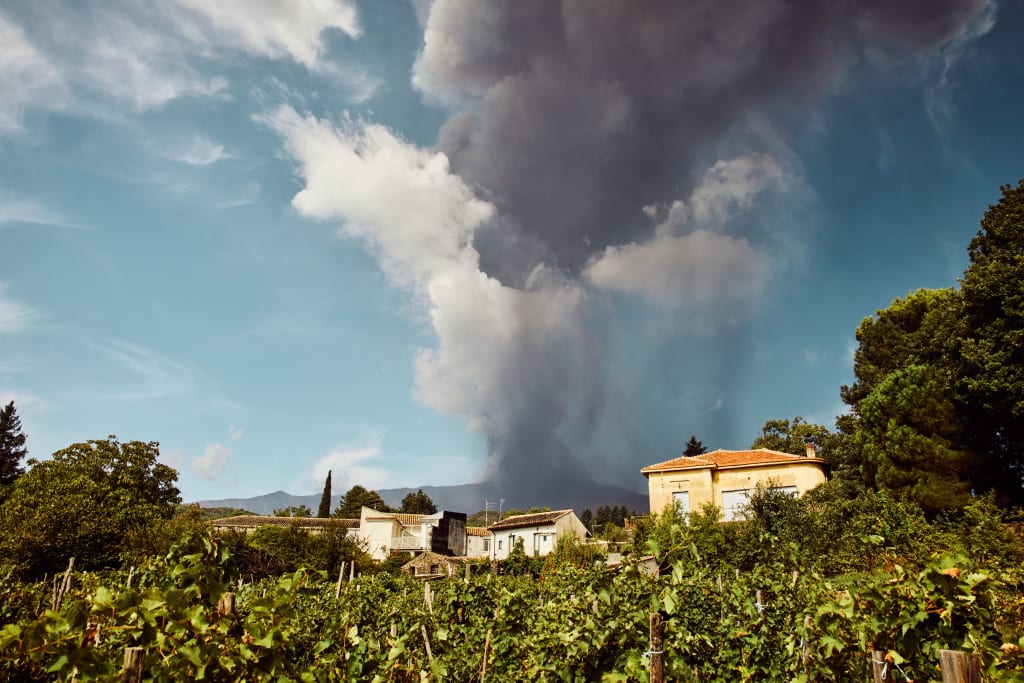 wines from volcanic soils