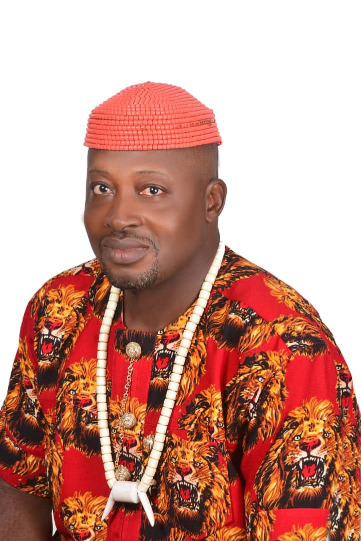 Mr. Chiduabo Chukwuemeka