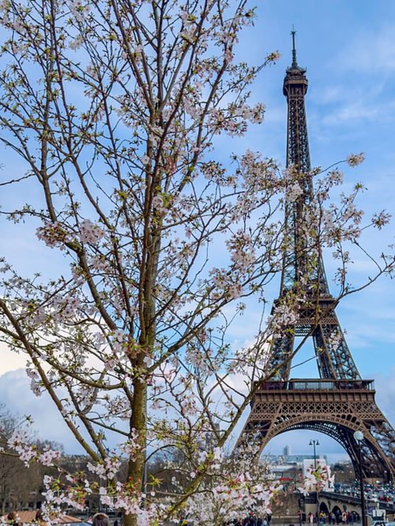 Between Flights — New York · San Francisco · Paris