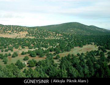 Akkışla Yaylası