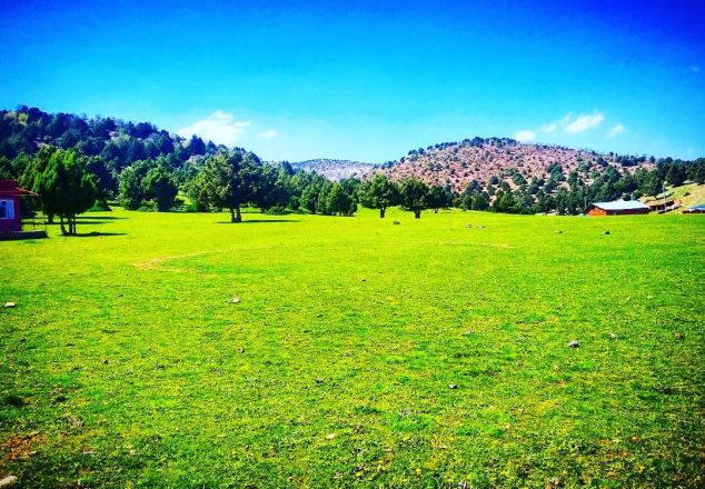 Akkışla Yaylası Piknik ve Mesire Alanı - Güneybağ, Güneysınır, Konya