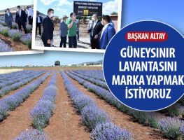 Güneysınır Lavantasını Marka Yapmak İstiyoruz