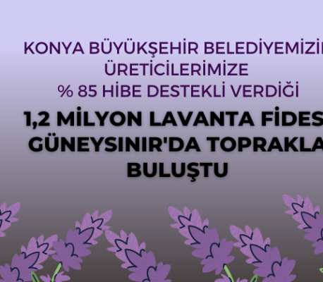 Guneysinir Belediyesi Resmi Web Sitesi Guneysinir Beled