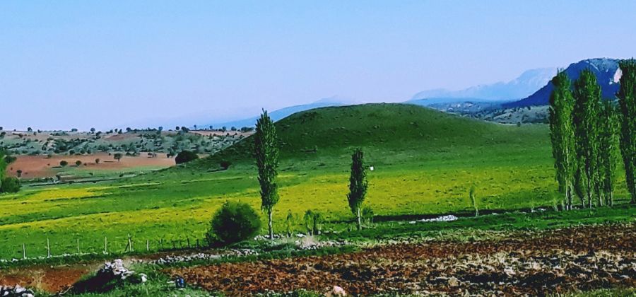 Durayda Höyüğü - Durayda, Güneysınır, Konya