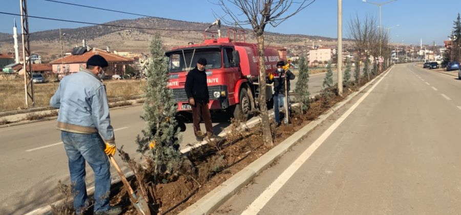 Mevlana Caddemizde Ağaçlandırma Çalışmaları