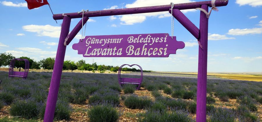 Güneysınır Lavanta Bahçelerimiz ziyarete açıldı.