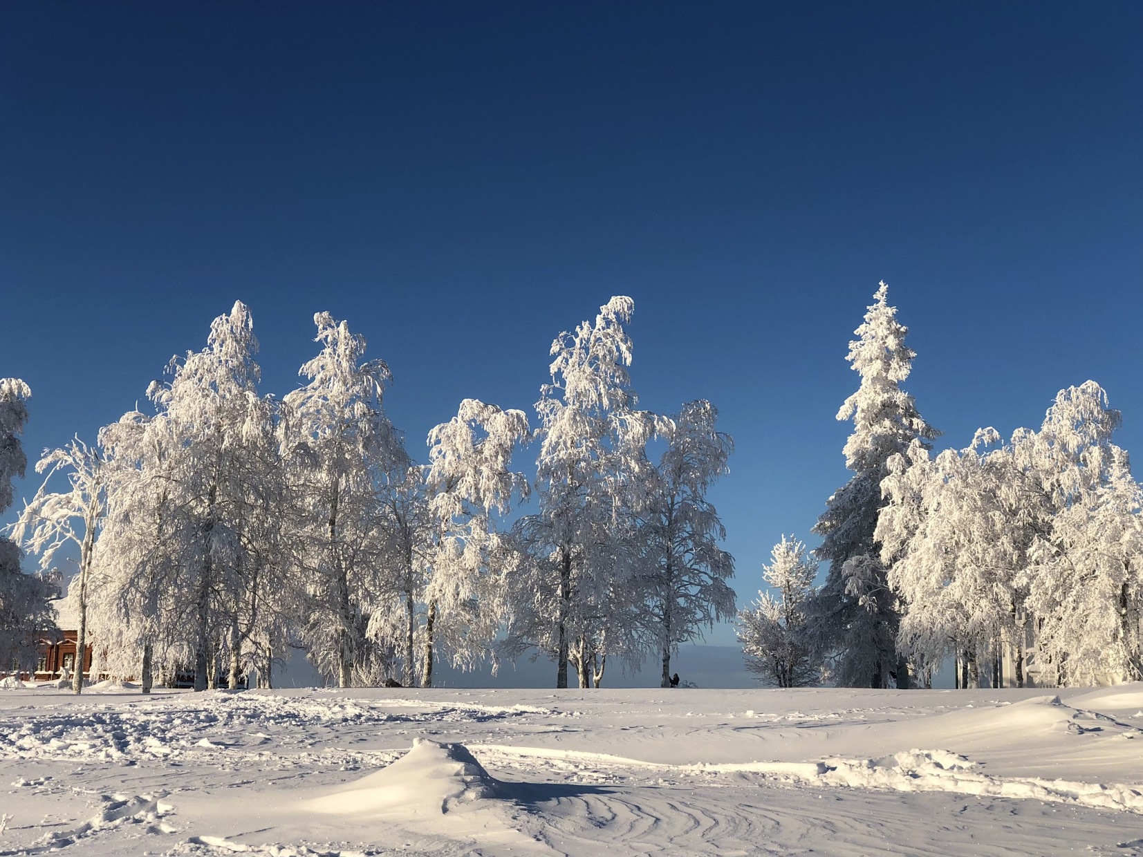 Градусы пермь