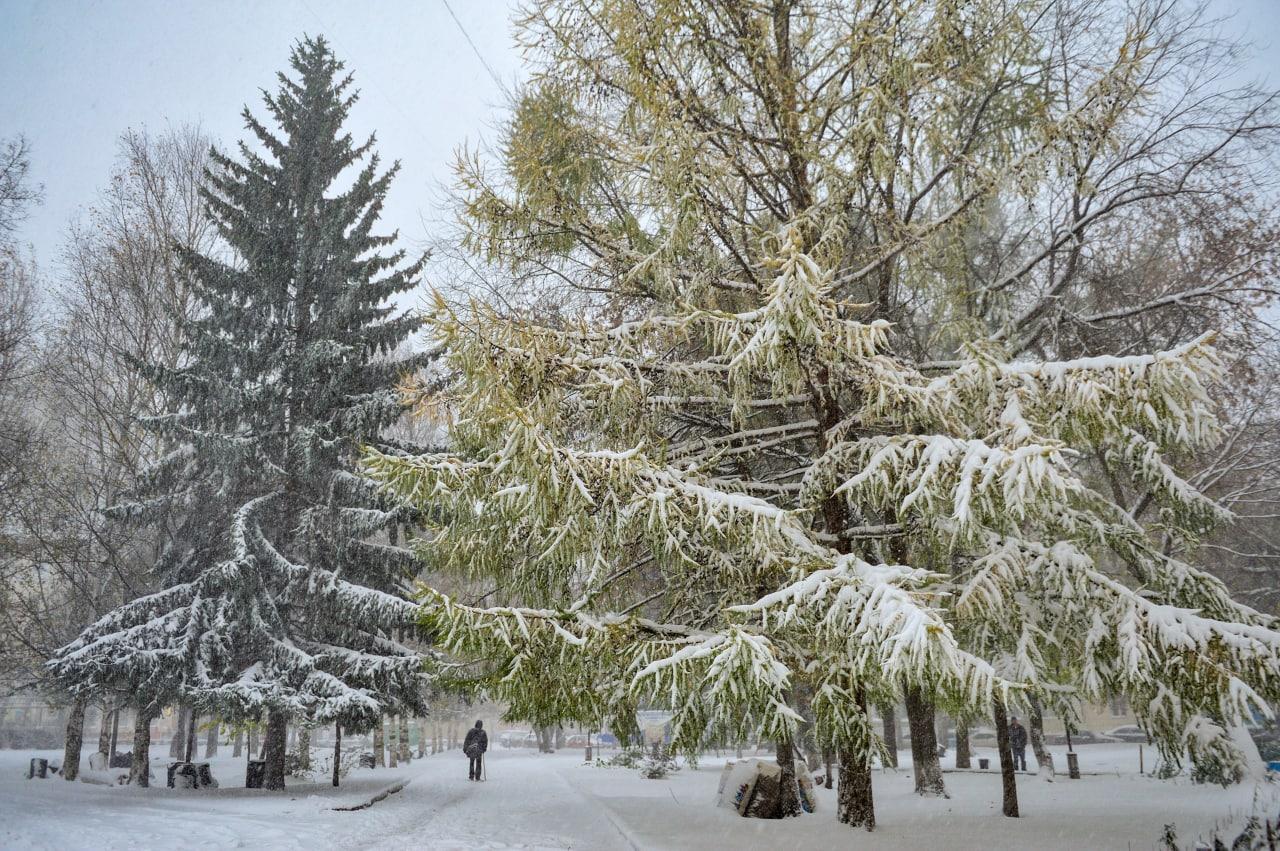 Погода в пермском крае на 10 дней. 4 Декабря день Пермского края фото.