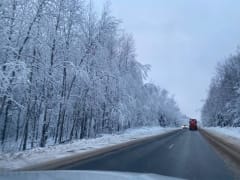 Трагедия на дороге: четыре человека погибли в Пермском крае