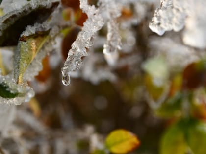 Начинается оттепель: в выходные в Перми будет тепло и очень снежно