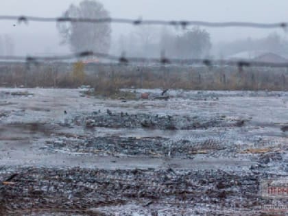 Пермяк, убивший маленькую падчерицу, осужден на пожизненное заключение