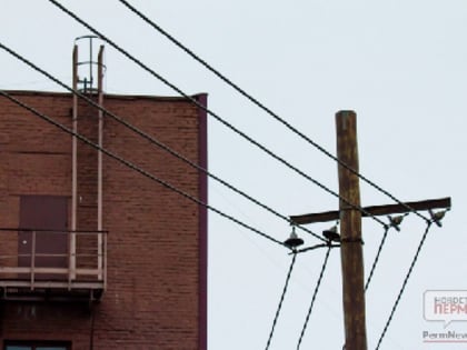 По заявлению энергетиков возбуждено уголовное дело по   факту хищения электроэнергии