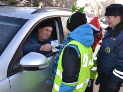 Акцию «Новый год без ДТП» провели сотрудники Госавтоинспекции Кунгурского округа