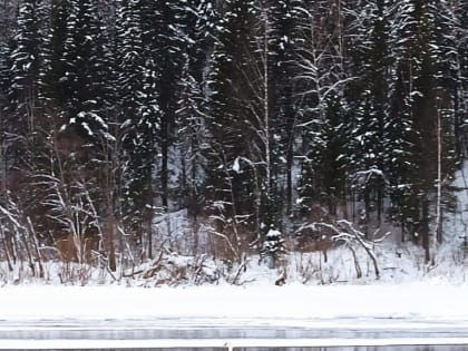 Неожиданная встреча