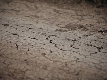 Часть Пермского края попала в зону экстремального дефицита влаги