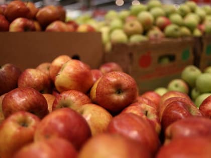 ​Сотрудники Россельхознадзора уничтожили в Перми почти 700 кг яблок